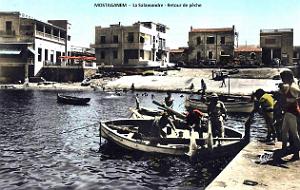 Mostaganem - Salamandre - Retour de peche